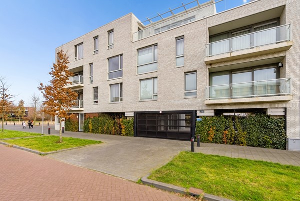 SCANDINAVIEKADE 179-4.jpg